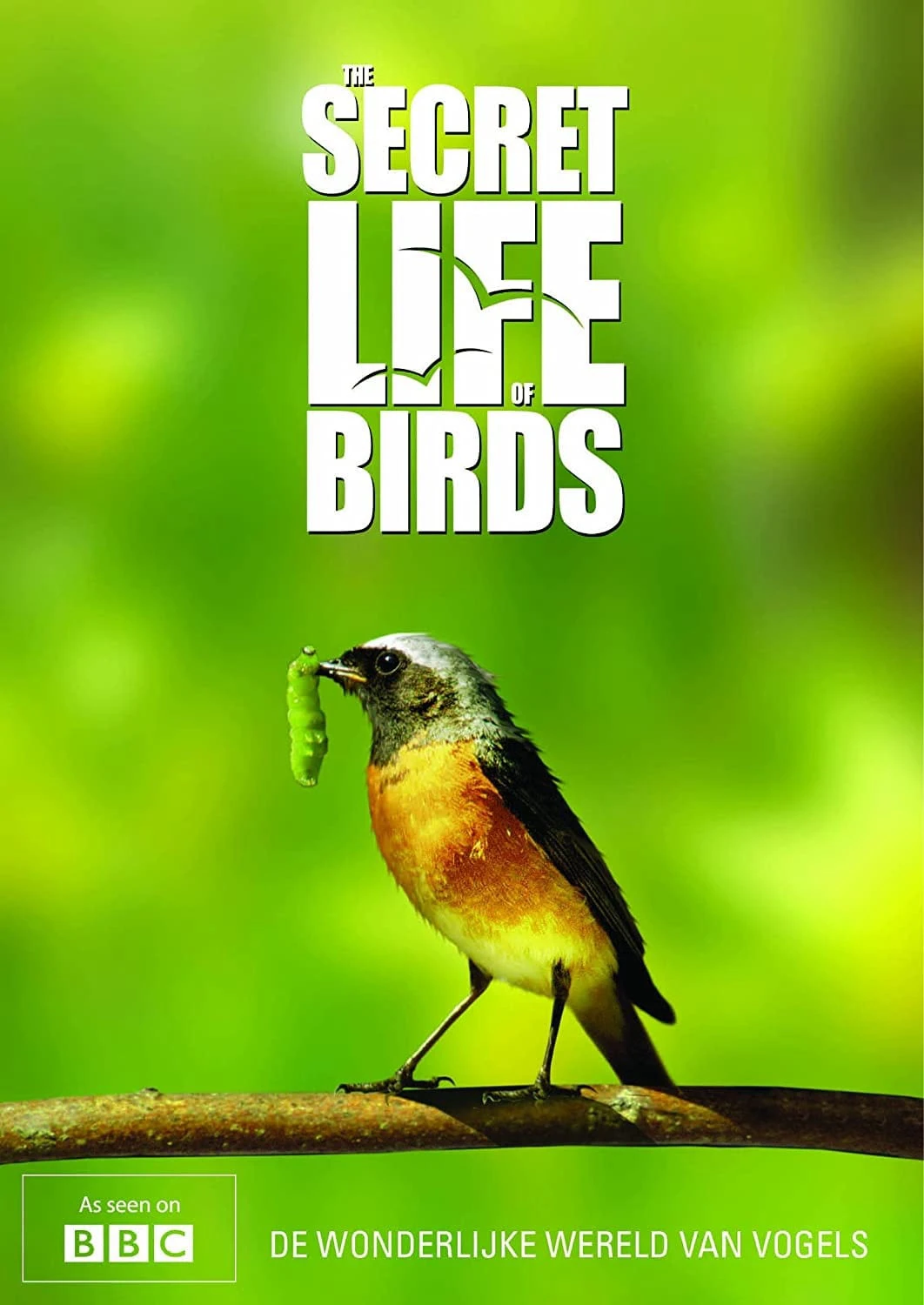 Bí ẩn cuộc sống loài chim | The Secret Life of Birds (2012) Bí ẩn cuộc sống loài chim | The Secret Life of Birds (2012)