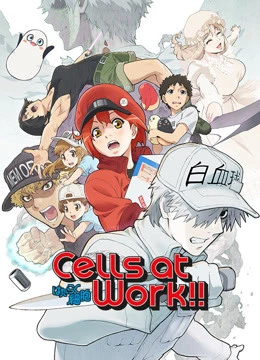 Khi Các Tế Bào Làm Việc (Phần 2) | Cells at Work! S2 (2021) Khi Các Tế Bào Làm Việc (Phần 2) | Cells at Work! S2 (2021)