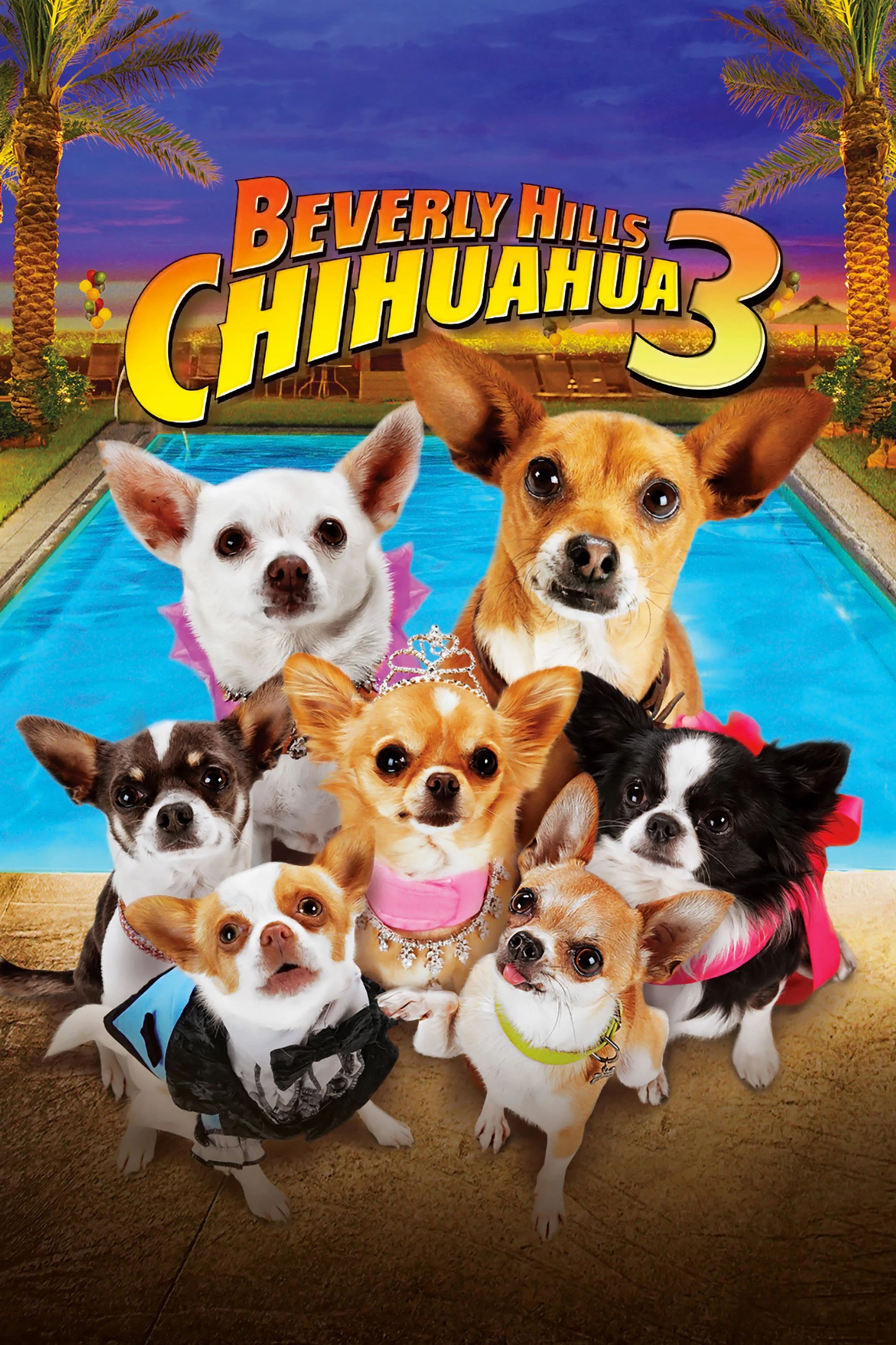 Những Chú Chó Chihuahua 3 | Beverly Hills Chihuahua 3: Viva la Fiesta! (2012) Những Chú Chó Chihuahua 3 | Beverly Hills Chihuahua 3: Viva la Fiesta! (2012)