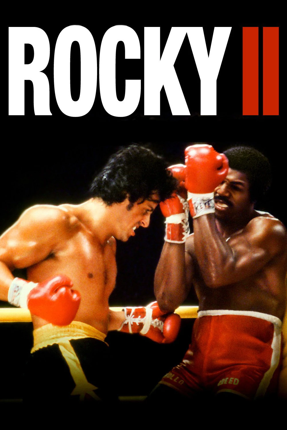 Tay Đấm Huyền Thoại 2 | Creed II (2018) Tay Đấm Huyền Thoại 2 | Creed II (2018)